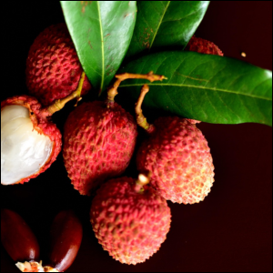 LYCHEE 5