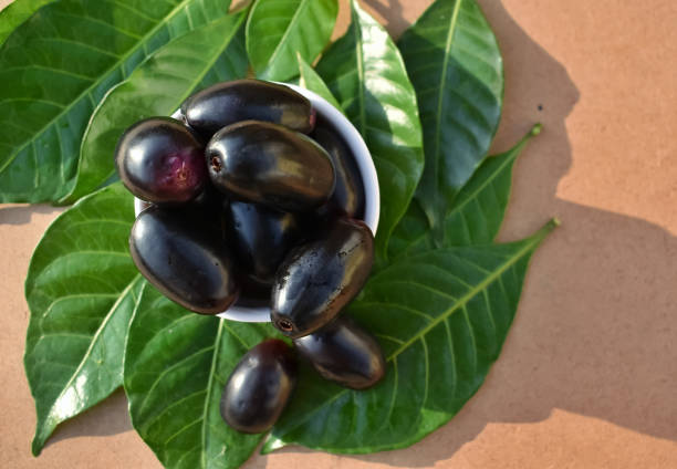 JAVA PLUM (JAMUN) istockphoto 1499483405 612x612